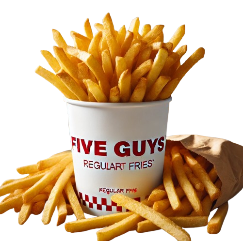 Five Guys Regular Fries