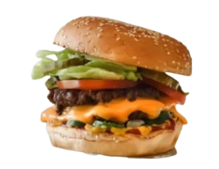 Five guys Cheeseburger